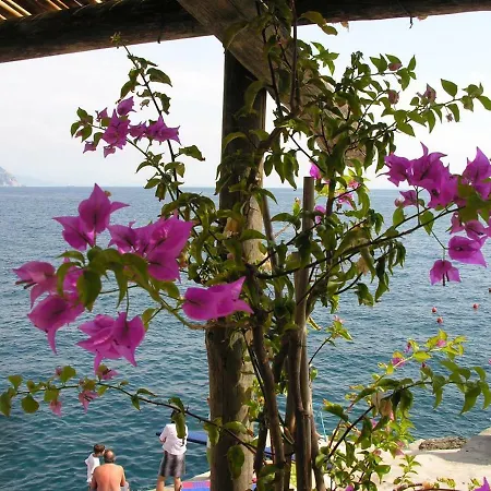 Costa D'amalfi فندق مبيت وإفطار أمالفي